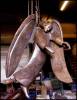 Methos The Angel of Peace (Bronze 2008).jpg